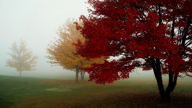 Хмарний день із плавним підвищенням температури