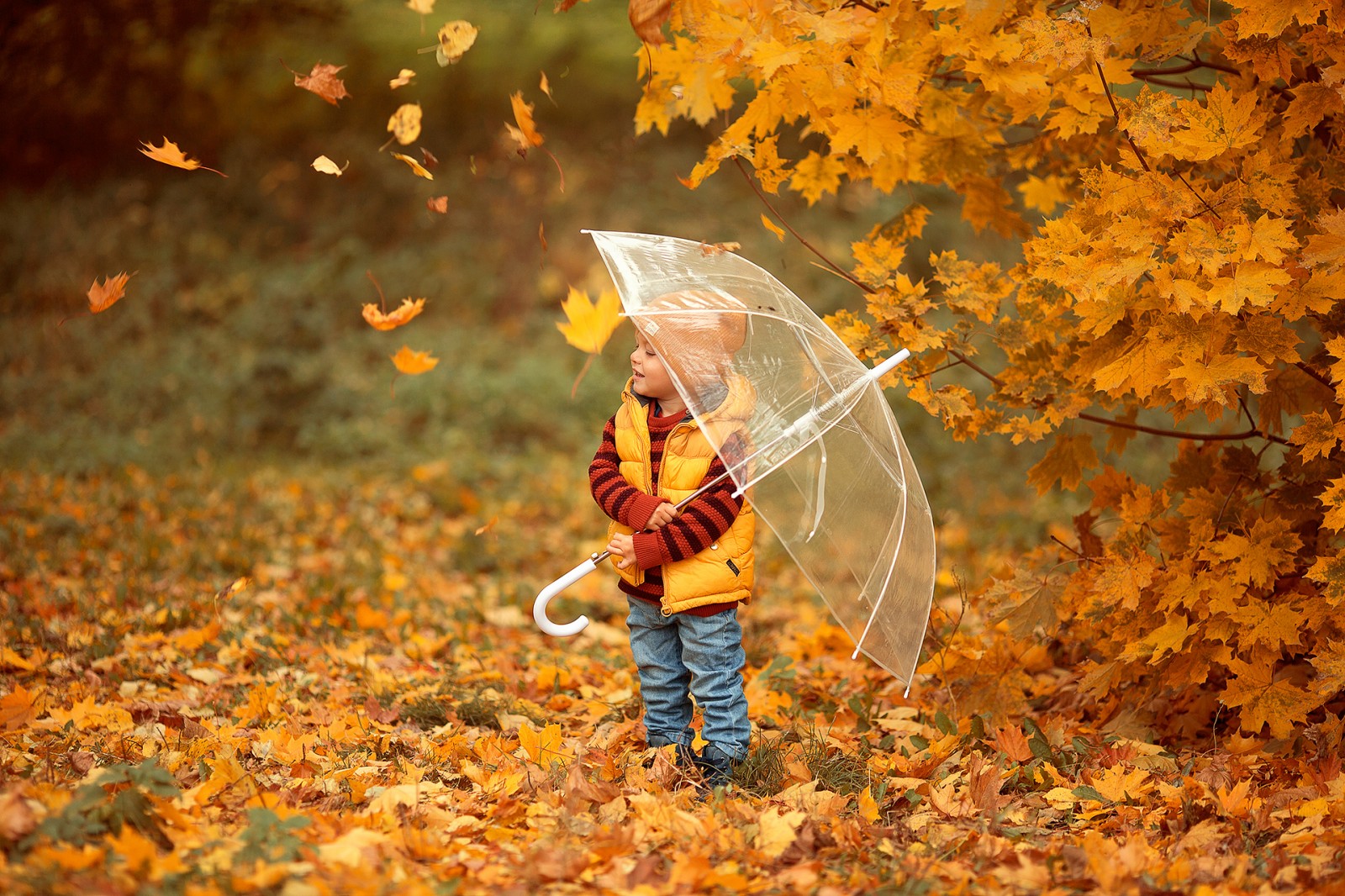 осіння погода у Гайсині