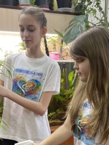 Гайсин Онлайн