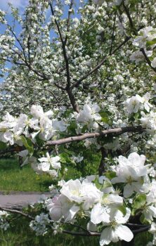 Гайсин Онлайн