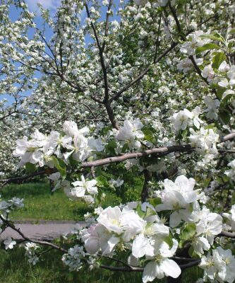 Гайсин Онлайн