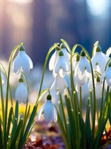 Гайсин Онлайн