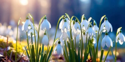 Гайсин Онлайн