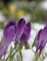 Гайсин Онлайн