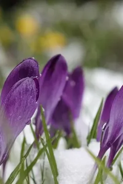 Гайсин Онлайн