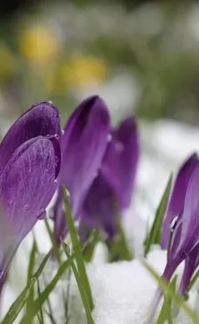 Гайсин Онлайн