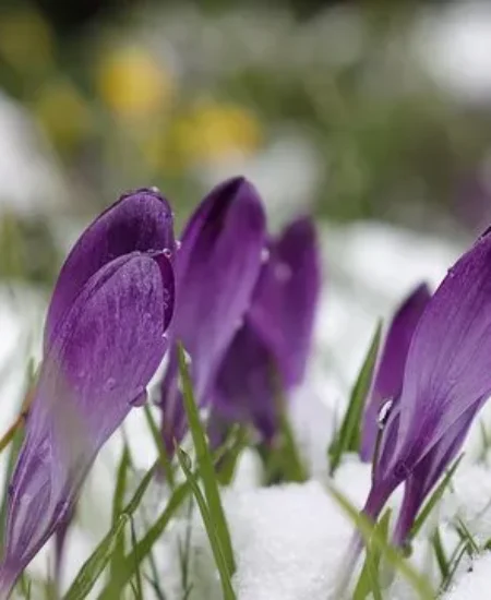 Гайсин Онлайн