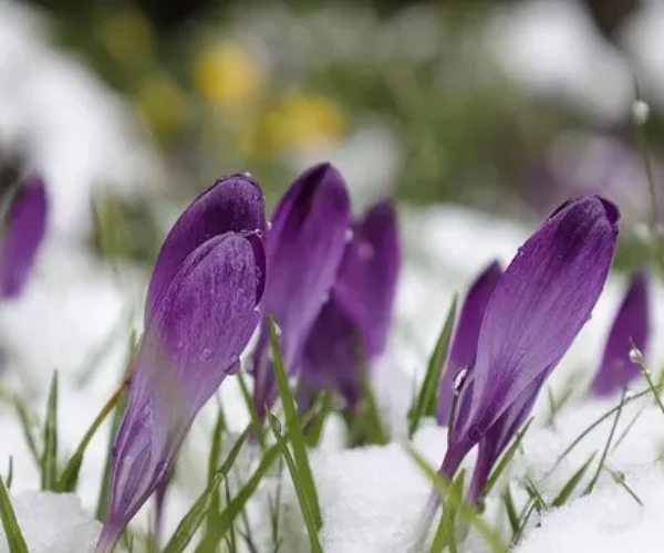 Гайсин Онлайн