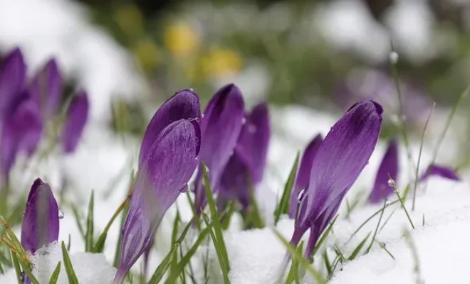 Гайсин Онлайн