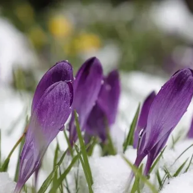 Гайсин Онлайн