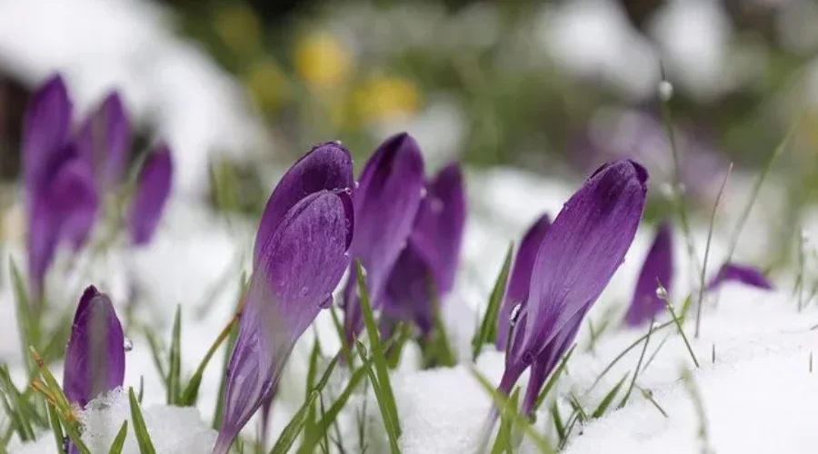 Гайсин Онлайн