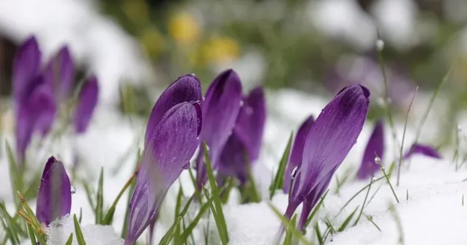 Гайсин Онлайн