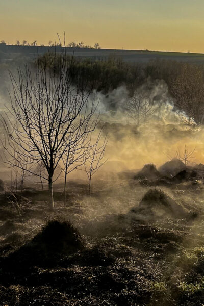 Гайсин Онлайн