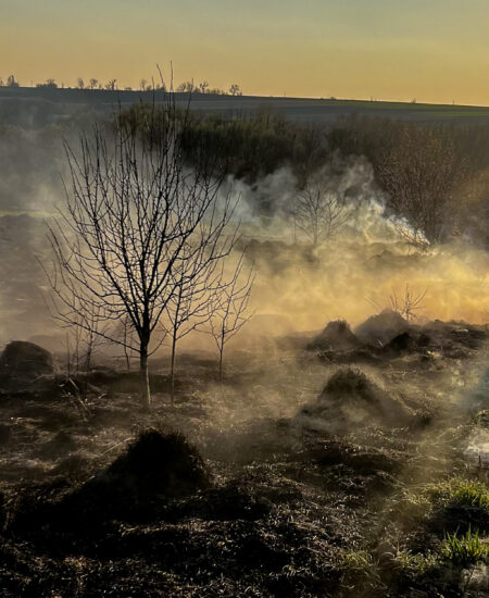 Гайсин Онлайн