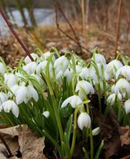 Гайсин Онлайн