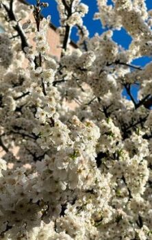 Гайсин Онлайн