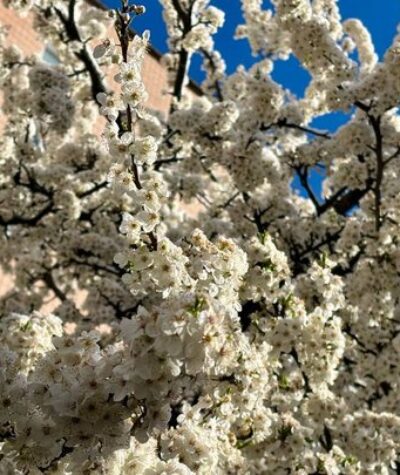 Гайсин Онлайн