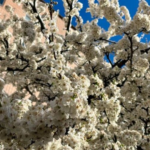 Гайсин Онлайн