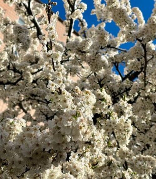 Гайсин Онлайн