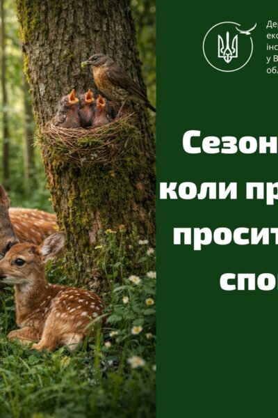 Гайсин Онлайн